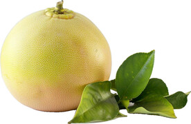 高清柚子免抠图素材图片