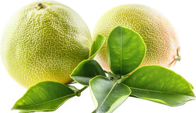 高清柚子免抠图素材图片