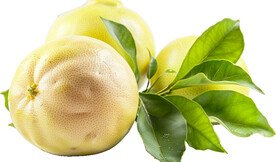 高清柚子免抠图素材图片