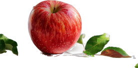 高清苹果免抠图素材图片
