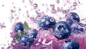 高清蓝莓免抠图素材图片