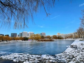 城市雪景