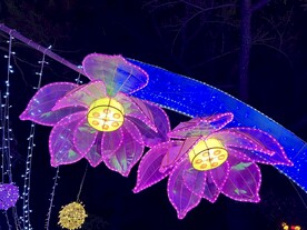城市花灯