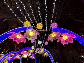 城市灯会