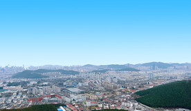 城市的冬天