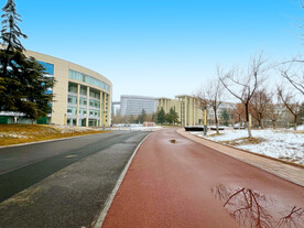 城市的冬天
