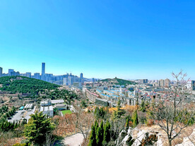 城市风景