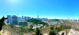 城市风景