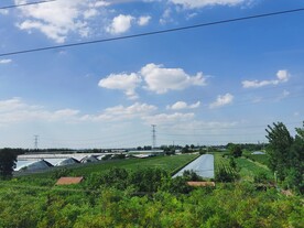 田野