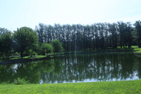 公园风景 