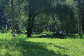 公园风景  