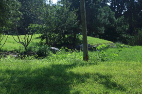 公园风景 