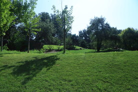 公园风景  