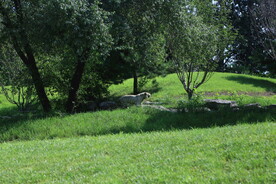 公园风景  