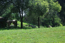 公园风景 