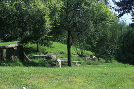 公园风景 