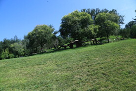 公园风景 