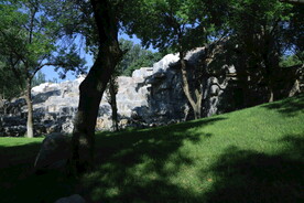 公园风景  