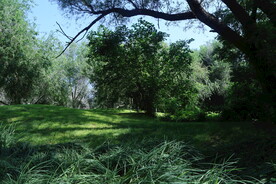 公园风景  