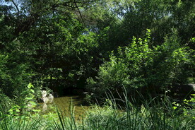 公园风景  