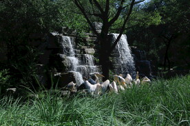 公园风景