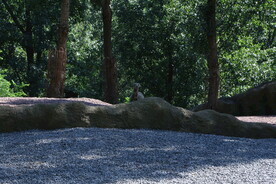 公园风景