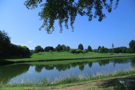 公园风景 
