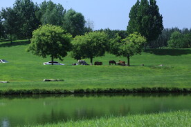 公园风景