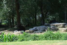 公园风景