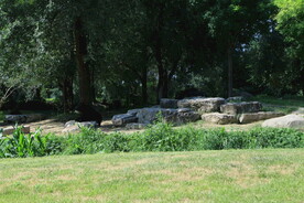 公园风景 