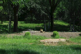公园风景 