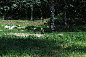 公园风景 