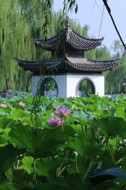 公园风景 