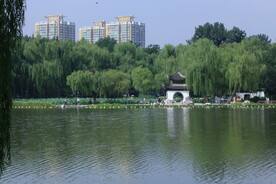 公园风景 