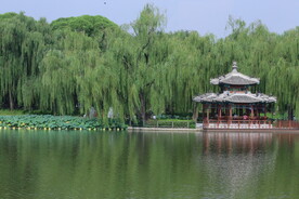 公园风景 