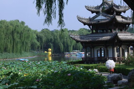 公园风景  