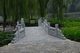 公园风景 