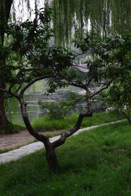 公园风景 