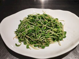 炒豆芽