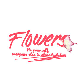 卡通蝶花猫图案