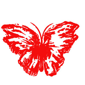 卡通光耀蝶图案