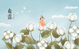白露棉花女孩插画