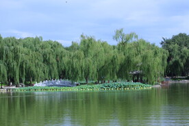 公园风景 