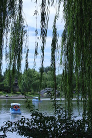 公园风景 