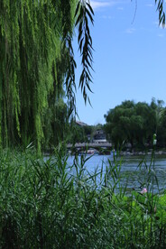 公园风景 