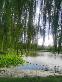 公园风景 