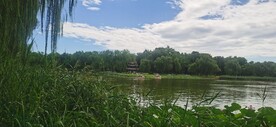 公园风景 