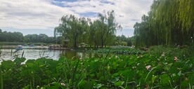 公园风景  