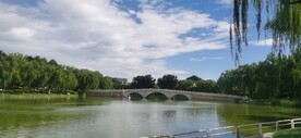 公园风景  
