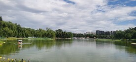 公园风景 